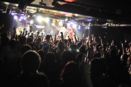 『宿り木 tour 2011』