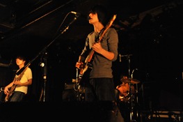 『宿り木 tour 2011』