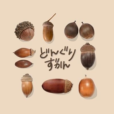 どんぐりずかん