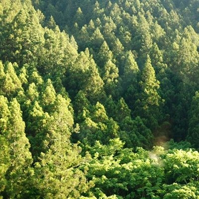 追憶のフォトグラフ