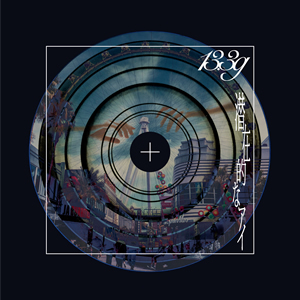 潜在的なアイ / 13.3g